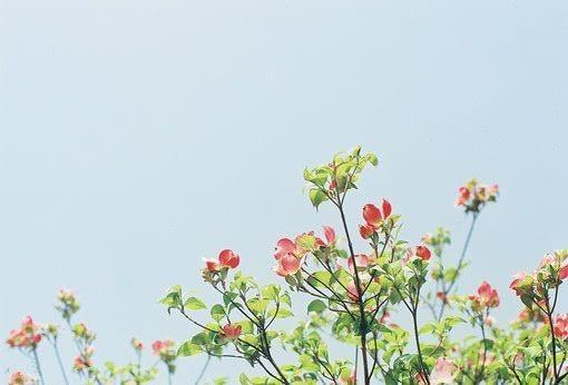 人，在什么时候最不怕死呢？

年轻的时候。

越是年轻，越是有着一种无知者无畏的