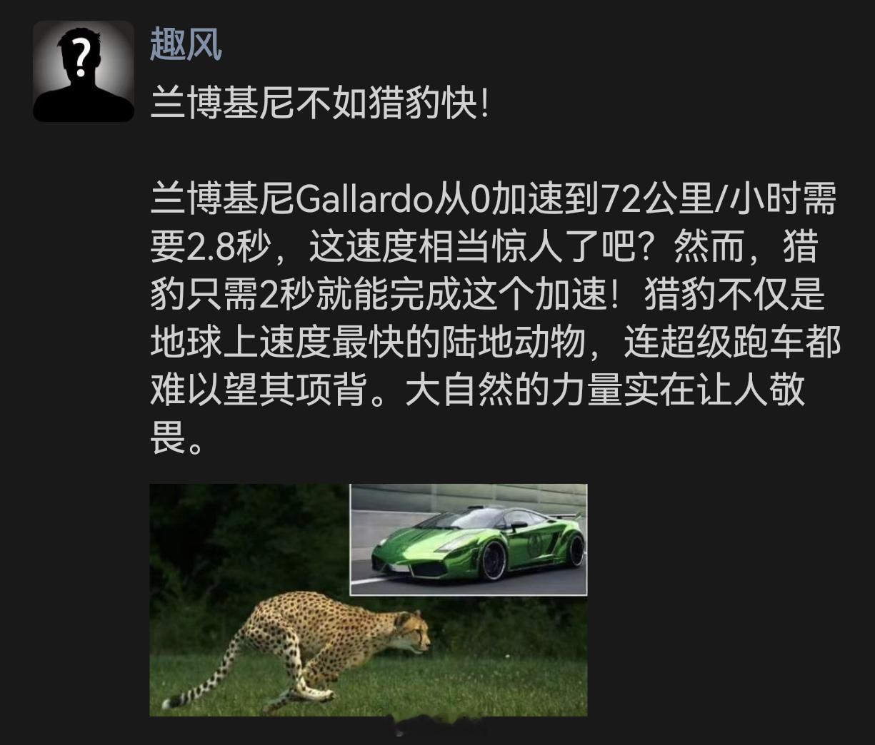 兰博基尼竟输猎豹，敬畏自然力量  