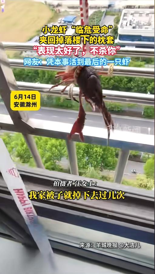 “凭实力续命！”6月14日，安徽滁州，一女子晒衣服被子时，枕套又掉到了楼下，她实