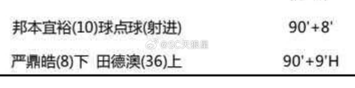 辽宁铁人第四次换人，在赛后报告上，显示是脑震荡换人。“90+9”后面的那个“H”