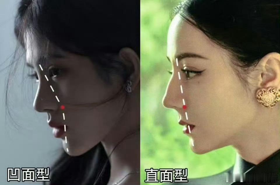 迪丽热巴和鞠婧祎谁的脸型更优越？ 