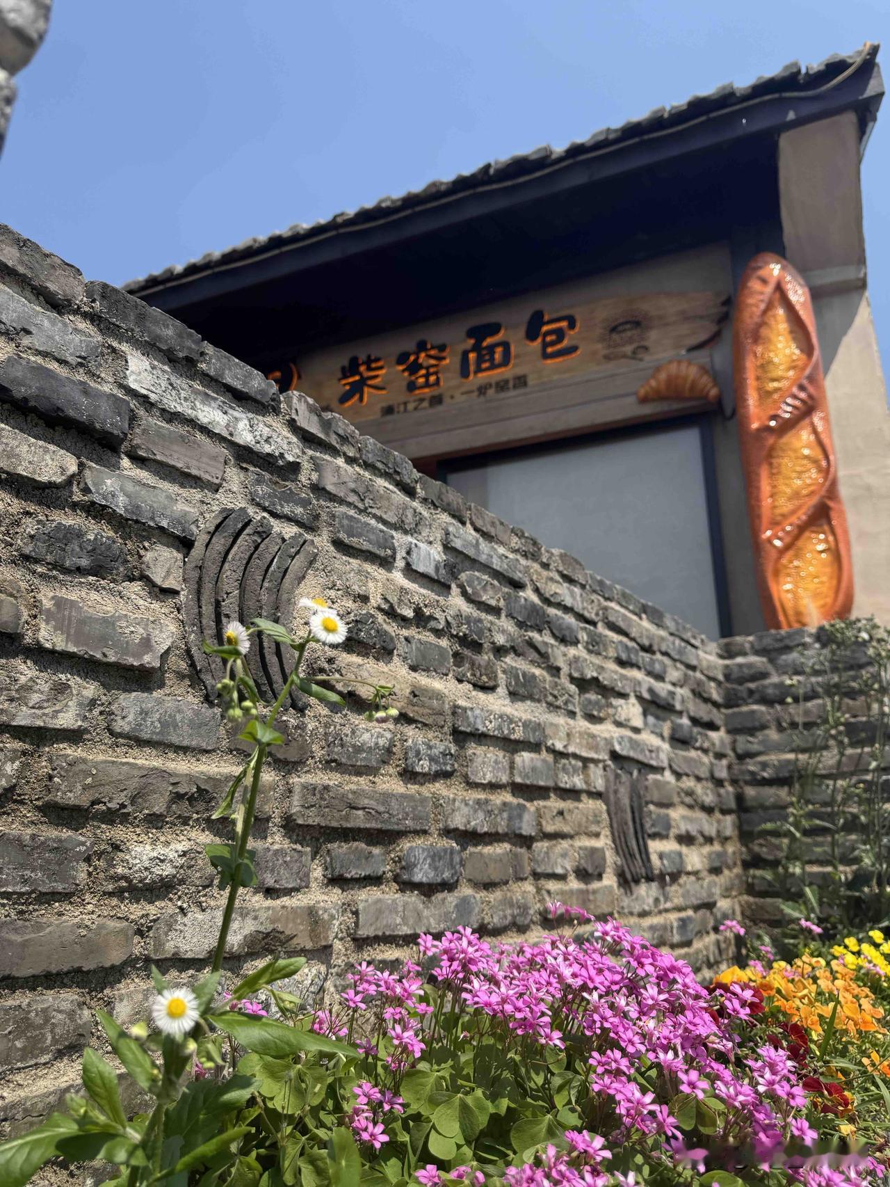 分享一张你相册里的花草照片