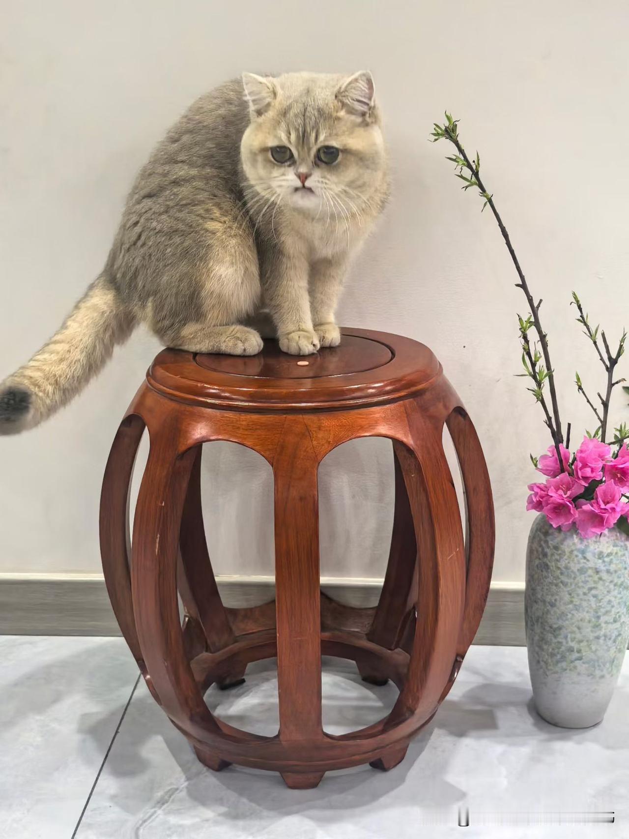 春日生活打卡季