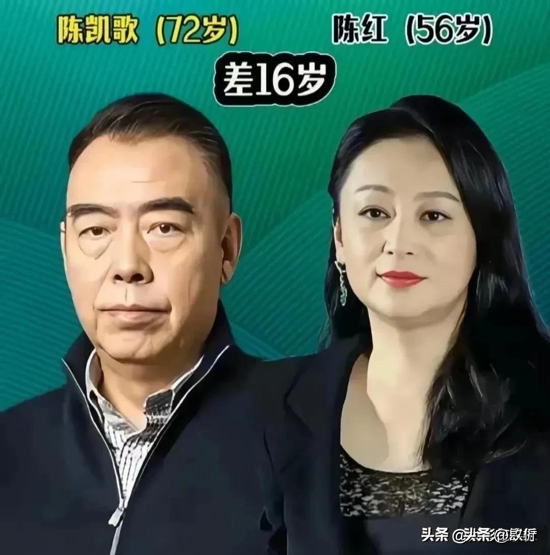 娱乐圈9对“老夫少妻”！当初不被看好，如今甜得齁人！

陈凯歌和陈红：差16岁，