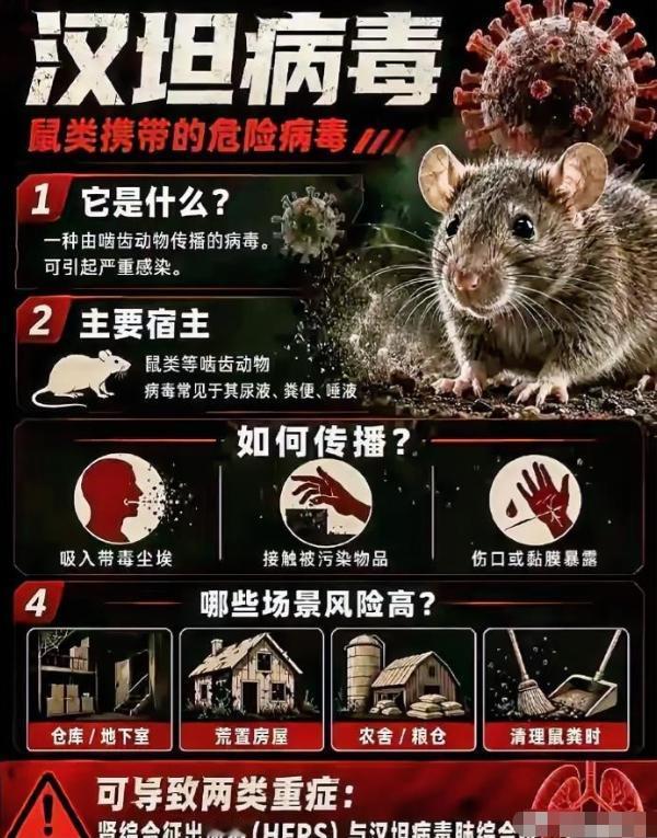 西方写惯了的剧本被中国游客完美的避开了。根据媒体报道，一名洪迪厄斯号邮轮上的中国