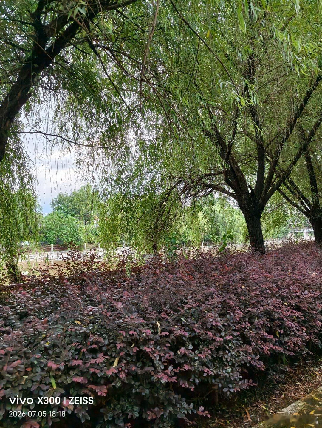 所谓千里马，不一定是跑得最快的，但一定是耐力最好的。无论你是谁，无论你正在经历什