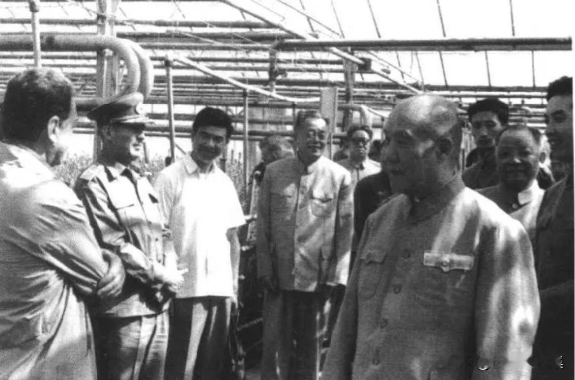 1979年6月，时任中国人民解放军副总参谋长的李达将军，率领军官休假团对罗马尼亚