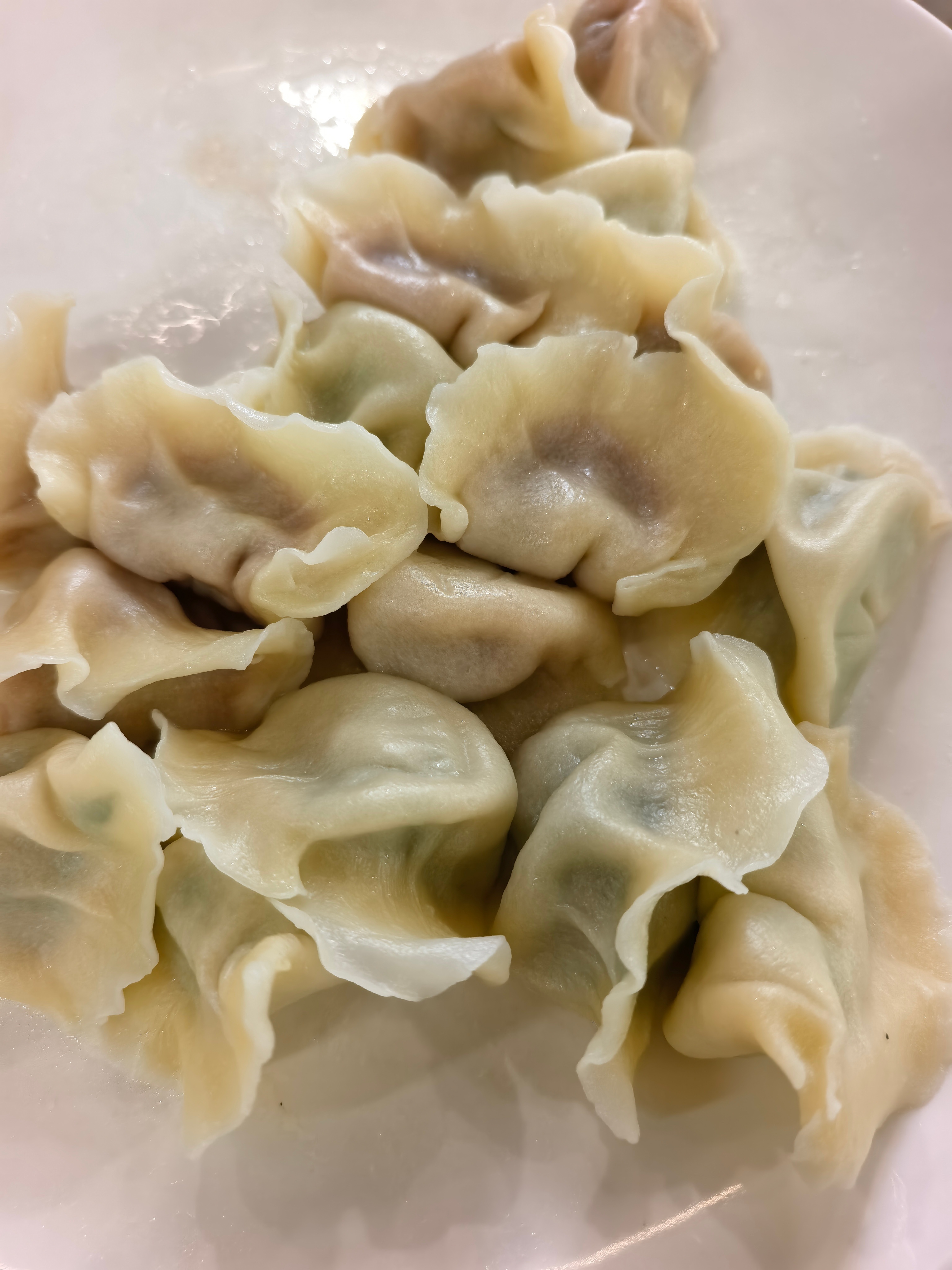 今晚的晚餐又是最爱的牛肉饺子。