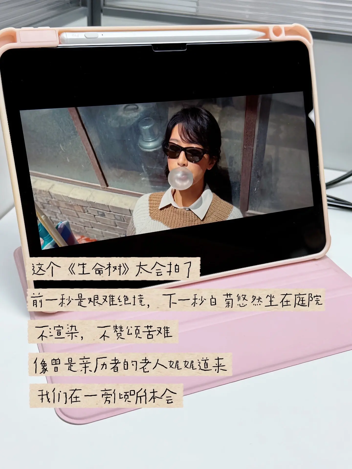 劫后余生晒着太阳会感叹活着真好吧!就像白菊说的，他们每个人其实都想好好活着。