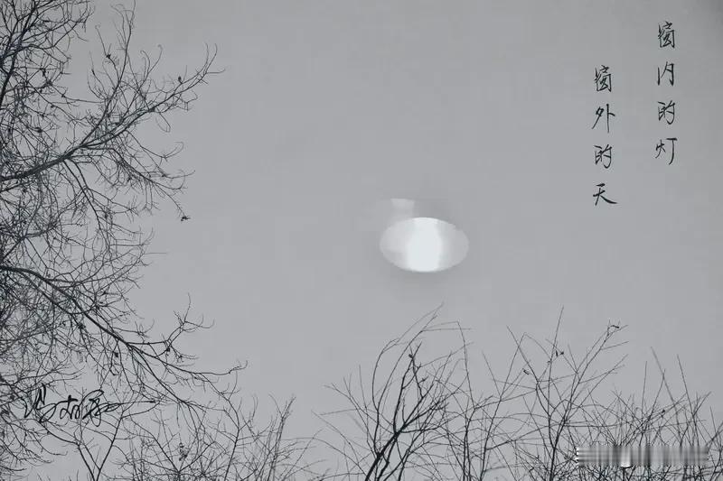 上联:缺缺圆圆天上月;
下联:真真假假世间情。

  友友对出上联 友友请邀对上