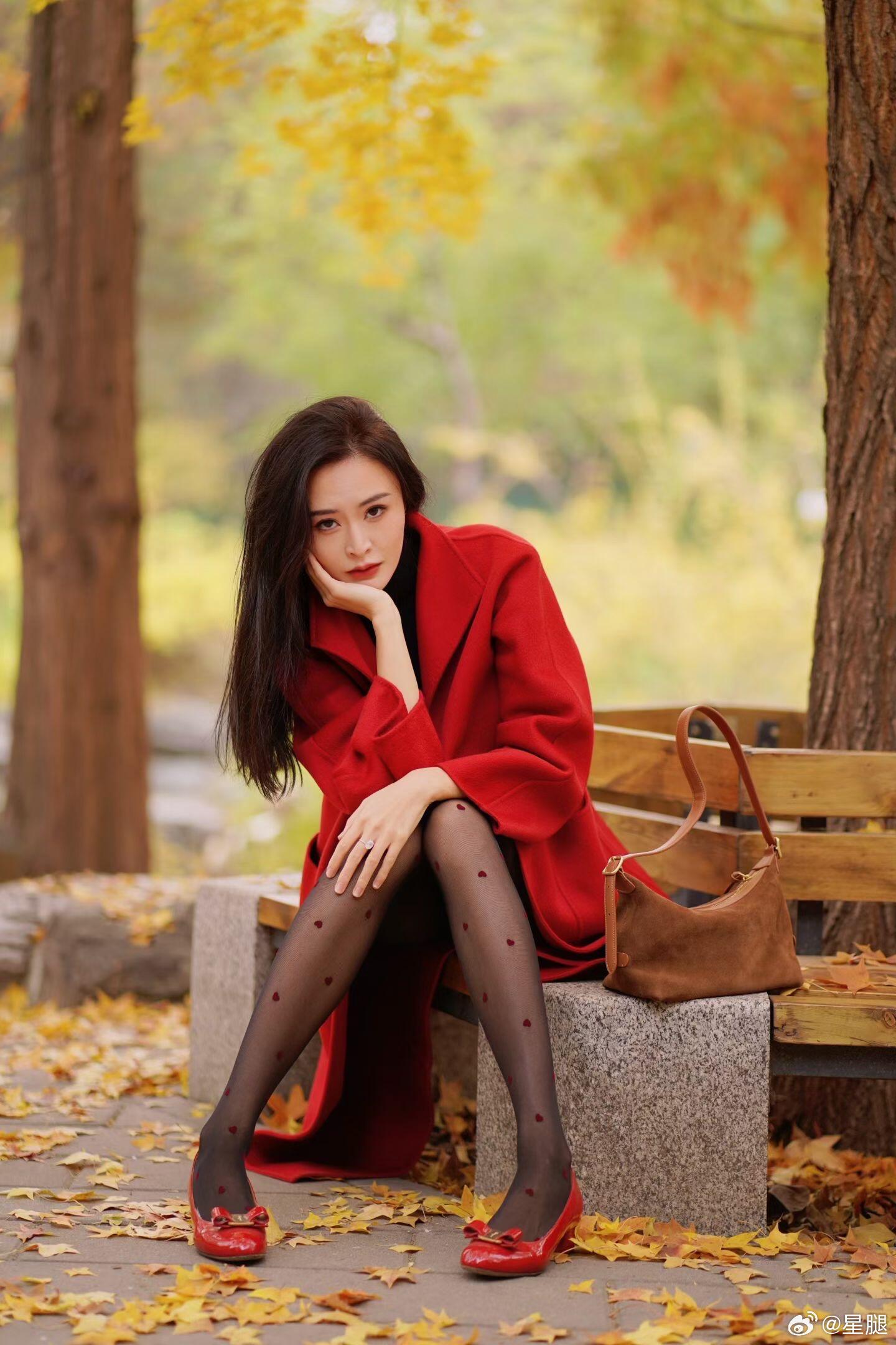 春莹 🍁 央视双语主持人，秋日黑丝大片 