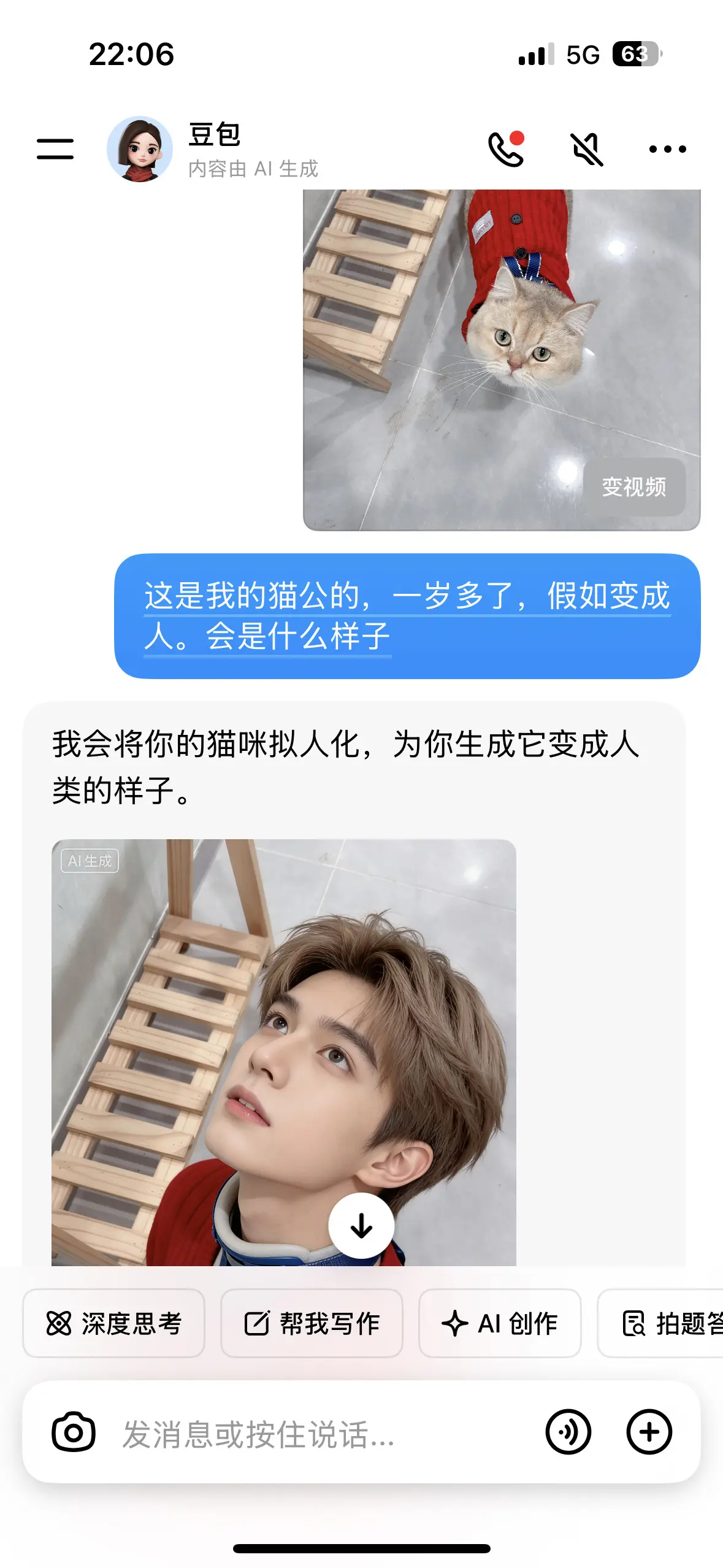 原来我的猫这么帅，以后不用睡猫窝了，睡被窝吧