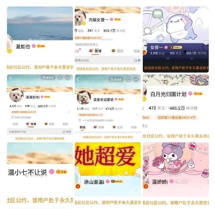 温如也现在是露头就秒腿毛一片哀嚎 