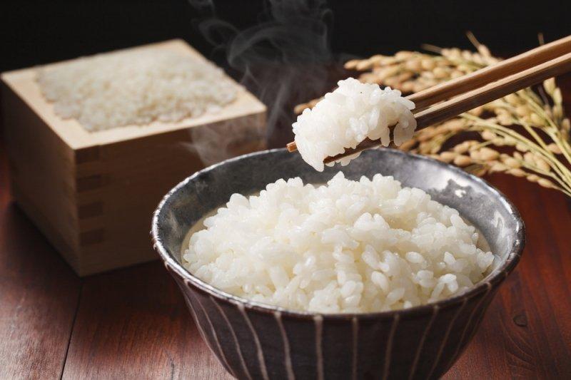 顶不住了！日本饭店老板为了能减少大米的成本，甚至不得不跑回老家包地种大米，想通过