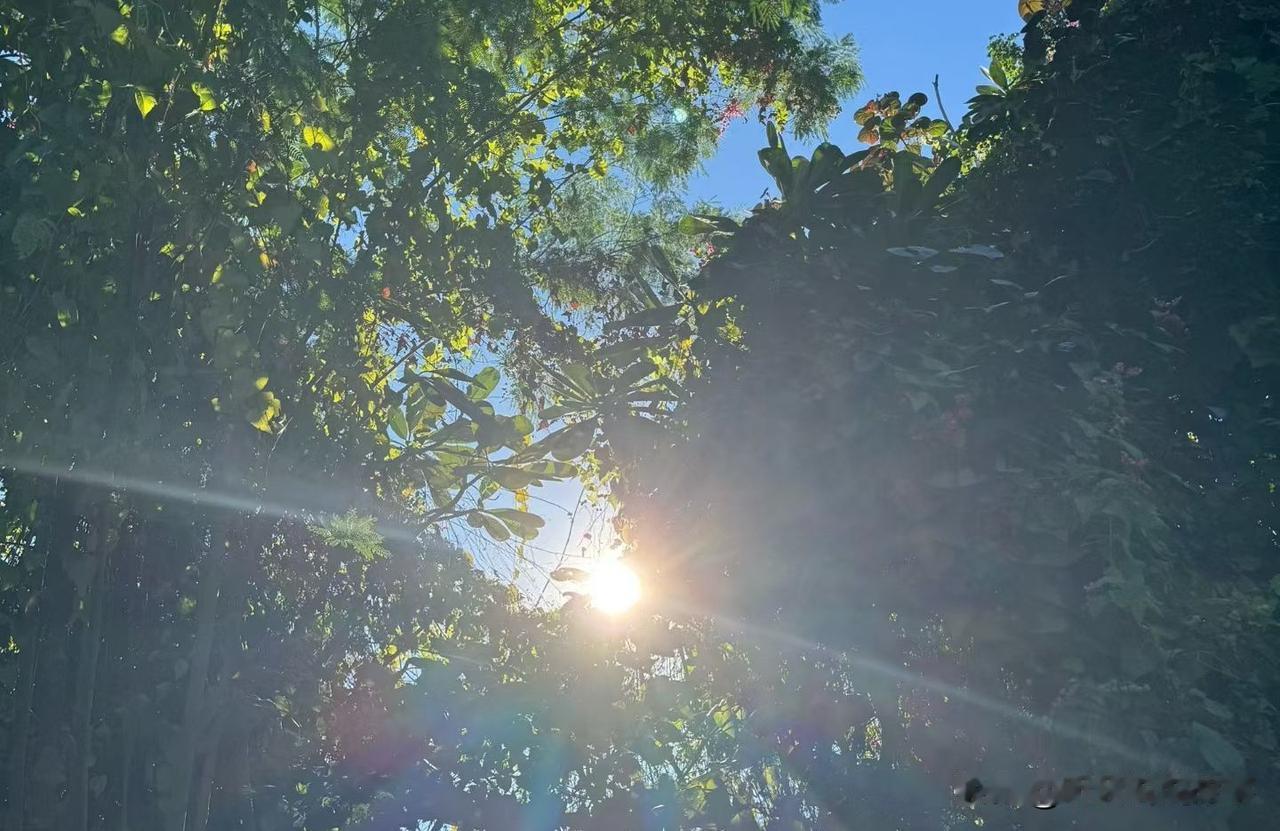 ❤️打败你的不是时代的洪流，也不是强大的竞争对手，而是你对未来趋势的漠视与对变化
