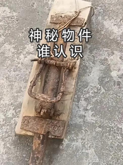 不吹牛！我敢打赌！全网认识这个东西的应该不多了，已经问了300多个人了，没一个人