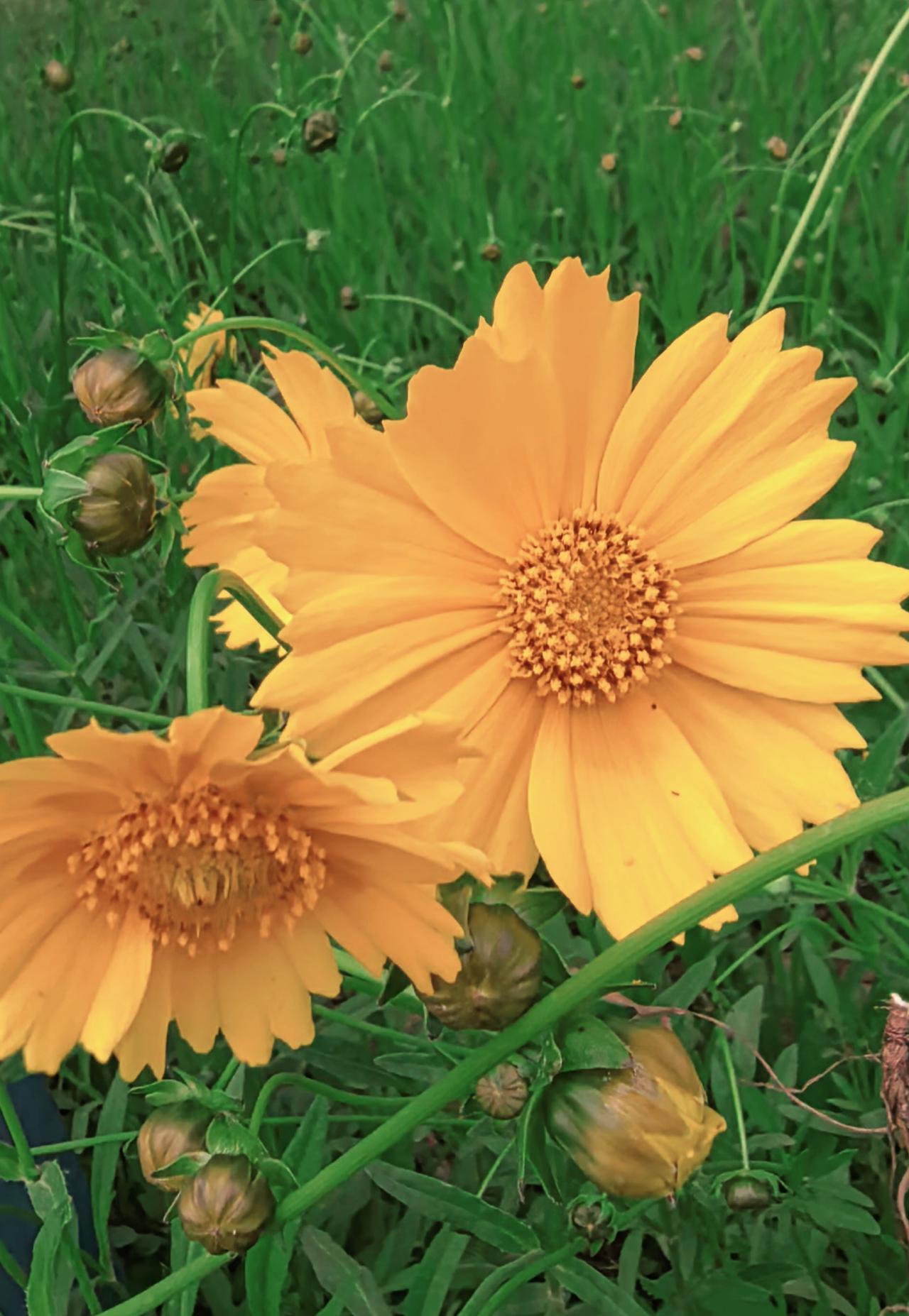 生活或许有阴影，但只要抬头，就能遇见万丈光芒。