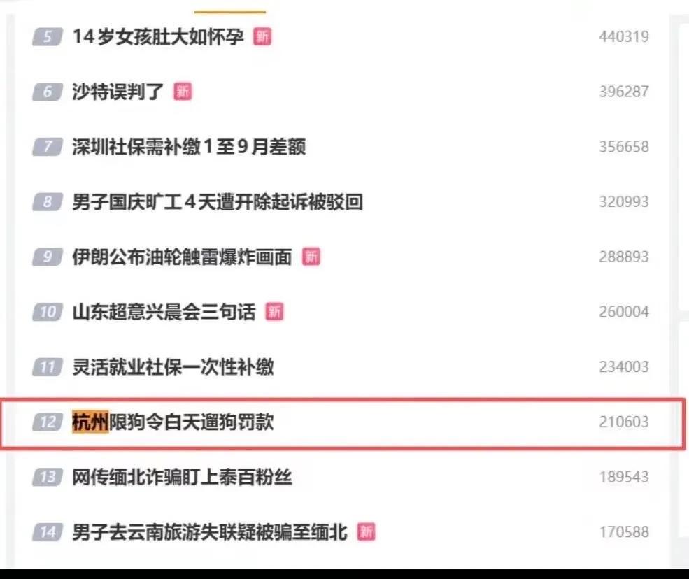 吵疯了！杭州“限狗令”全网撕裂：怕狗人拍手叫好，养狗人彻底怒了！

一条养狗规定