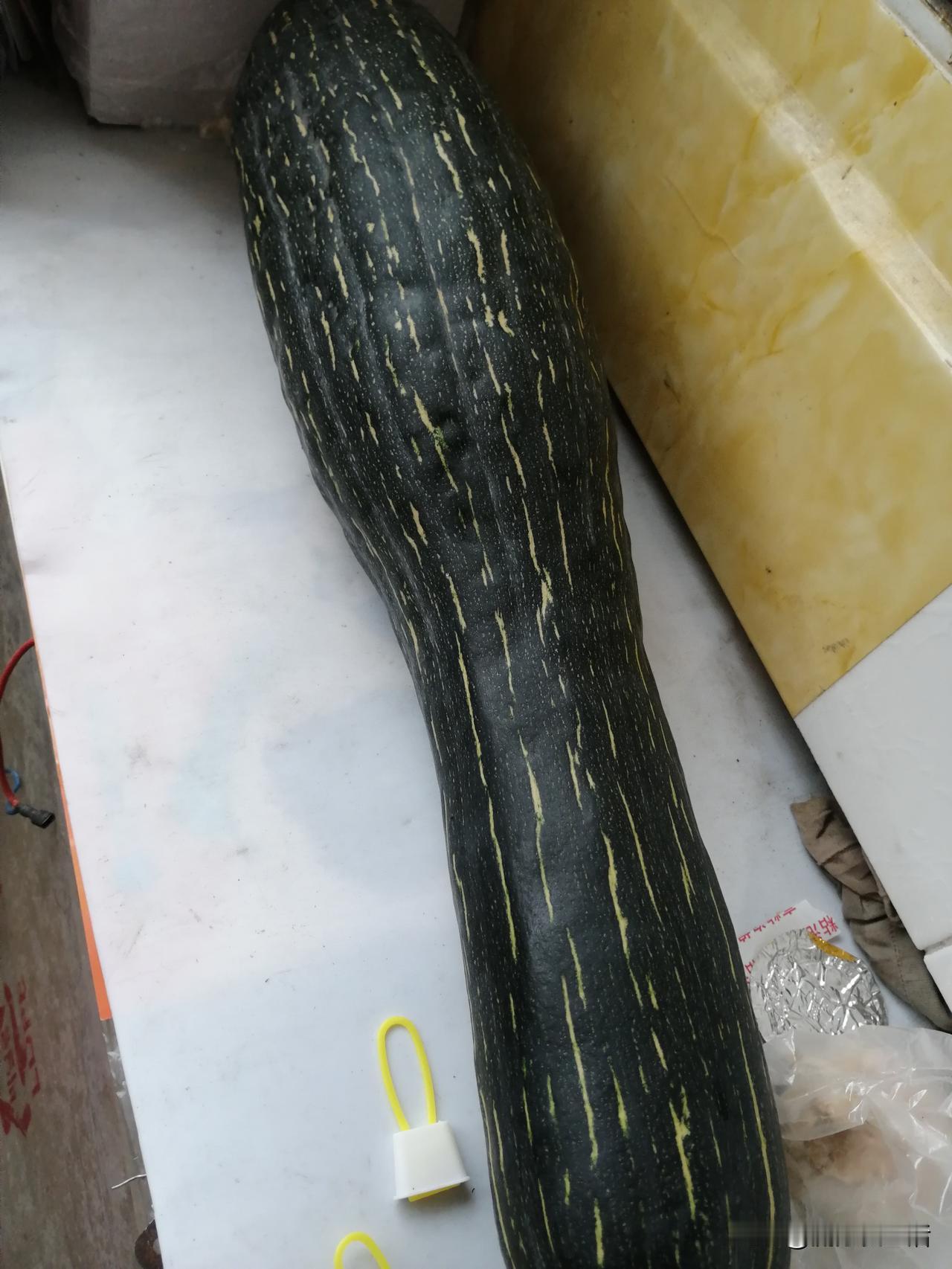 山东的雨来了就不走了
感觉从九月底就开始不停的下雨，到今天差不多十多天了，还是雨