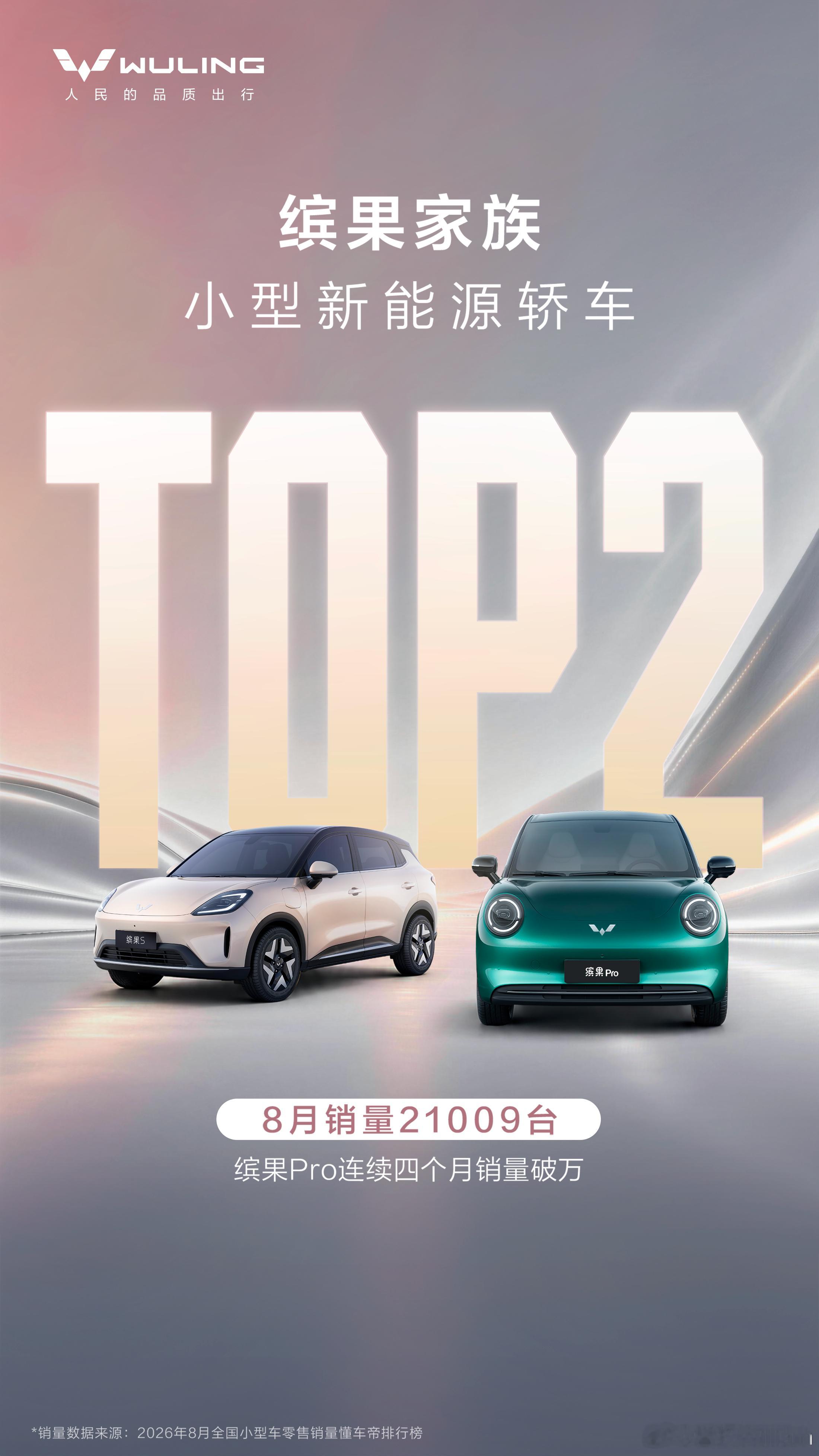缤果家族8月A0级销量TOP2，兄弟们。缤果Pro+缤果S，双车合力，把小型新能