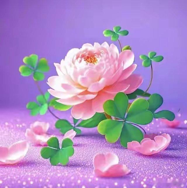 那些走过的路、看过的花、听过的雨，都唯美了曾经。 