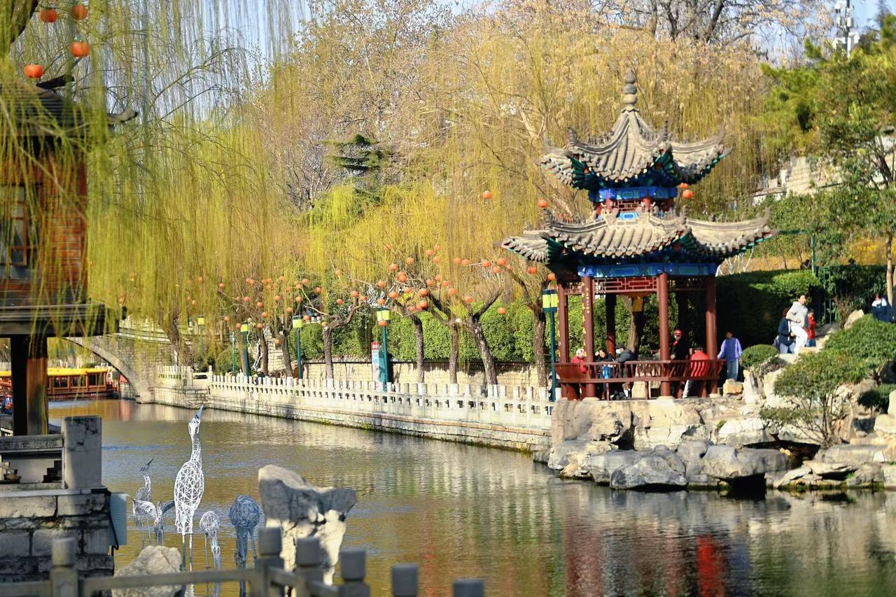 2月24日，泉城春意渐浓。老城区护城河畔内的柳树已吐出嫩绿新芽 ，细长的柳枝随风