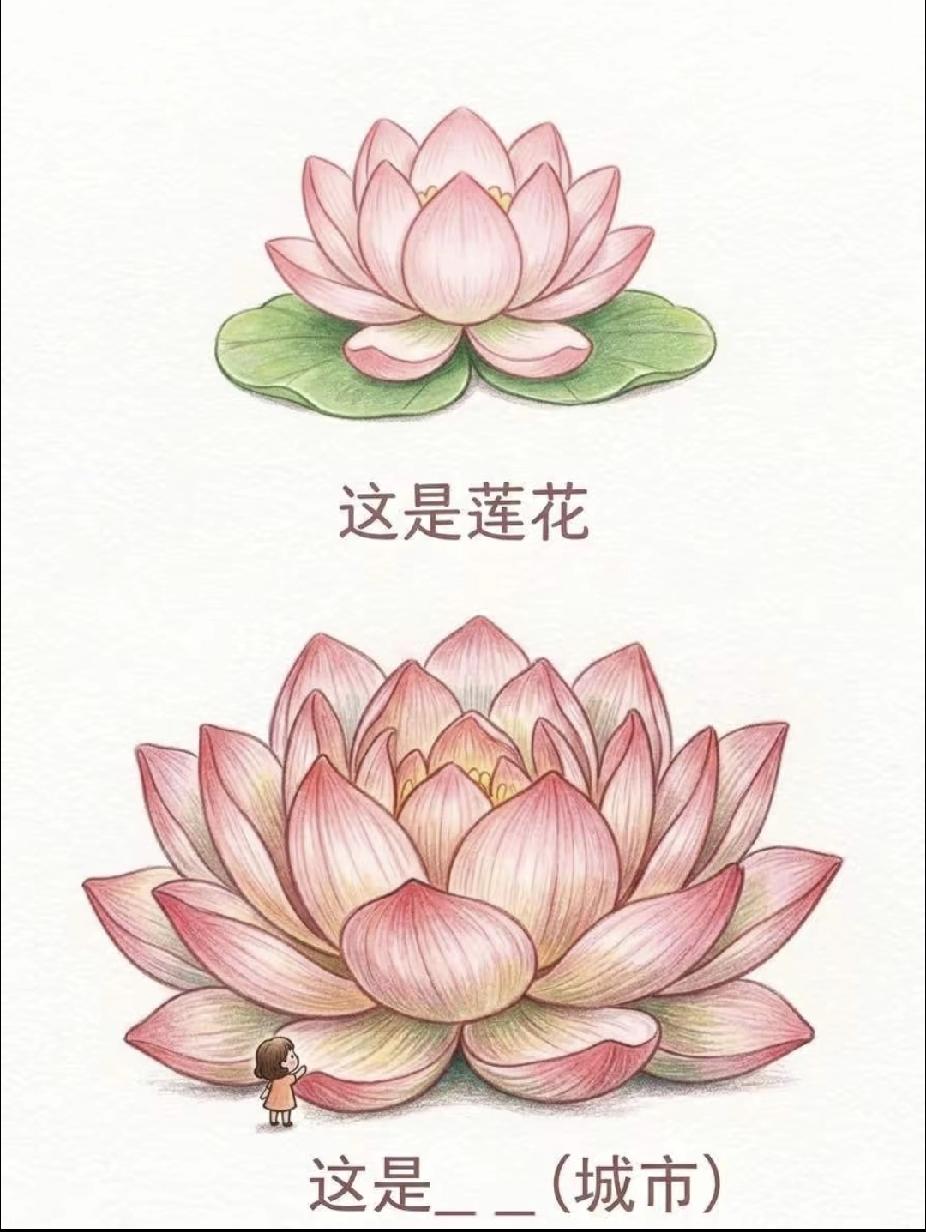 莲花放大版猜城市，谐音梗你get到了吗？