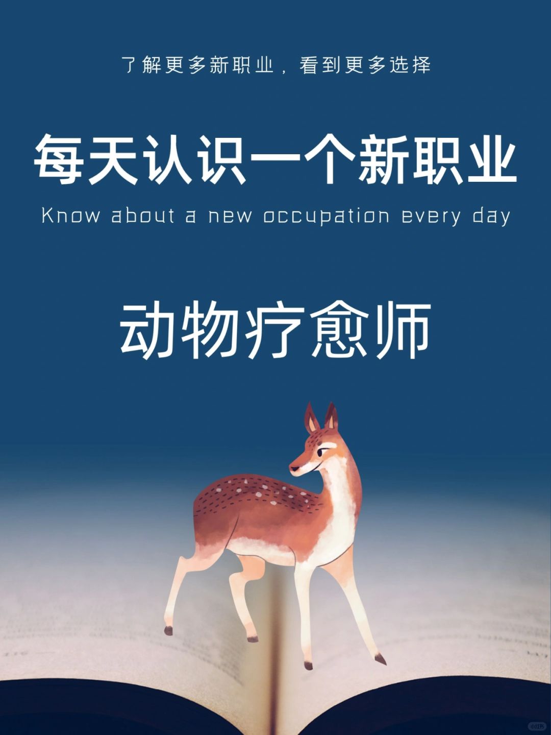 每天认识一个新职业｜动物疗愈师