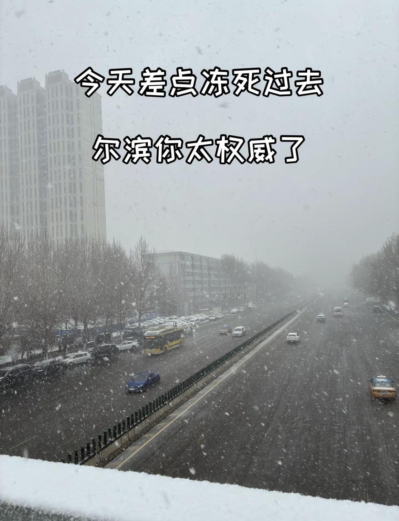春天了，尔滨你还在下雪❄️上热搜