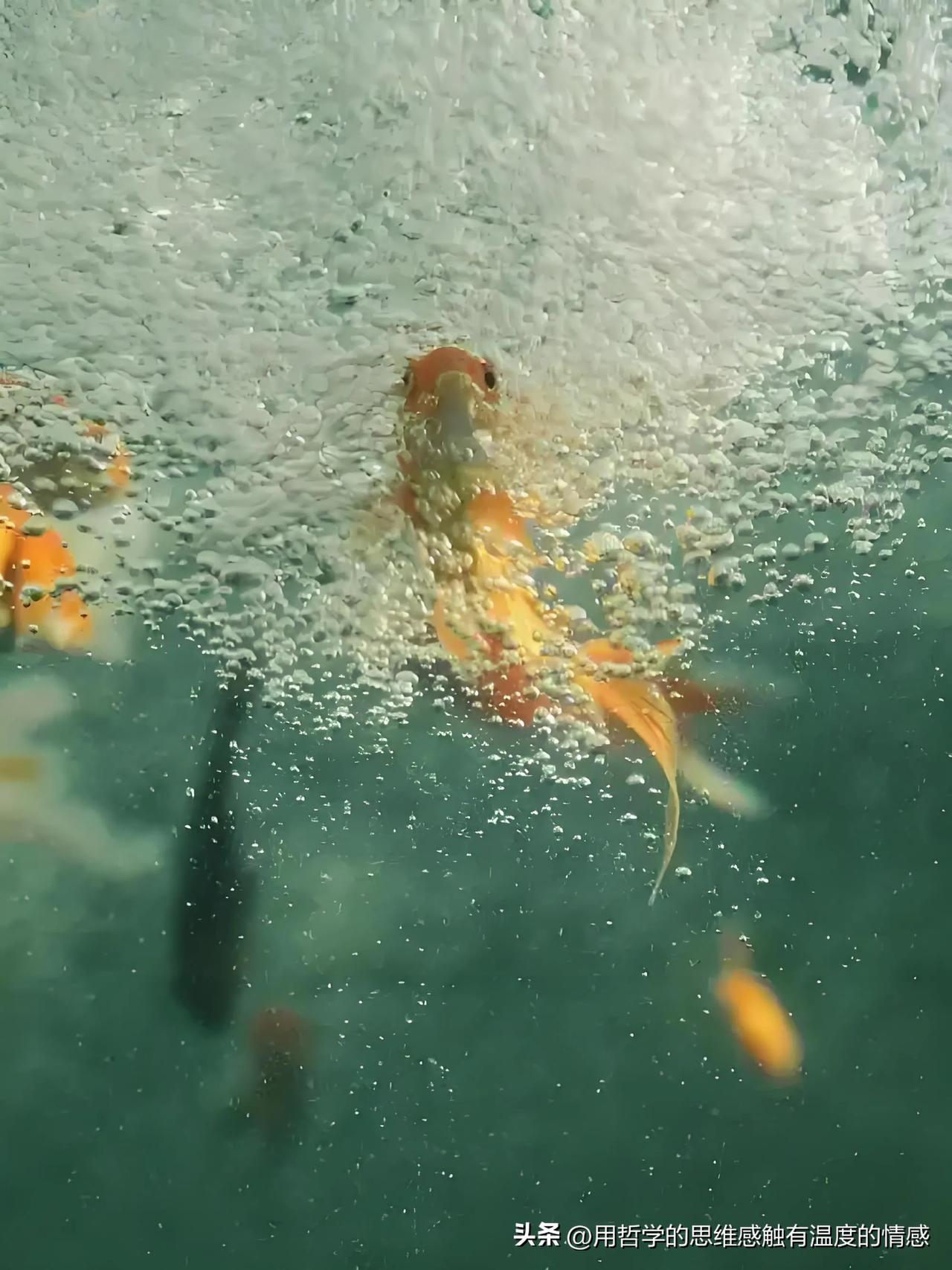 我的下联：林间听鹿鸣
1. 空间对景：

“池边”（水畔）与“林间”（山野）形成