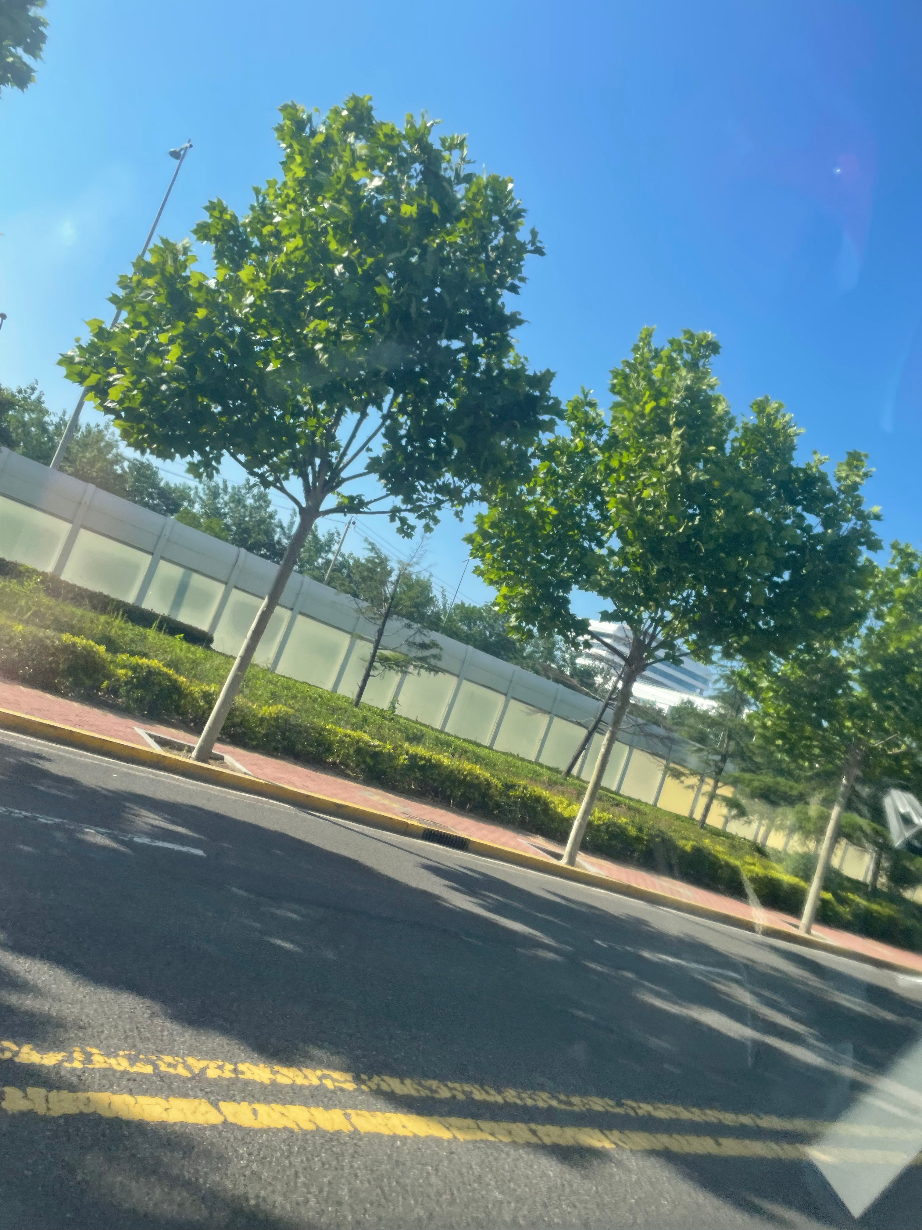 天晴了！嘿水终有一天会退散！沈阴你的“好日子”还在后面！我一定会让真路人，从不认