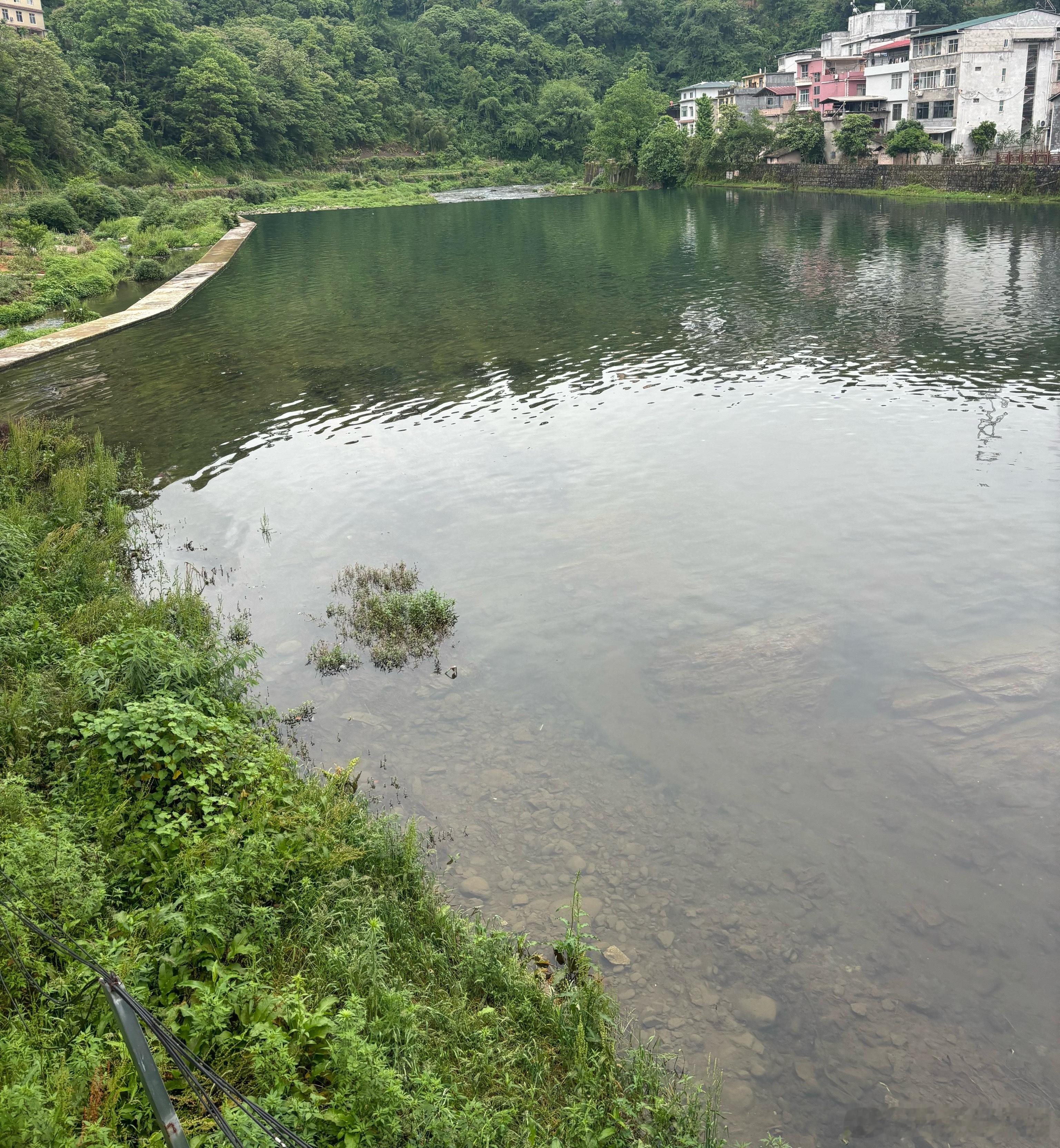钓鱼🎣 