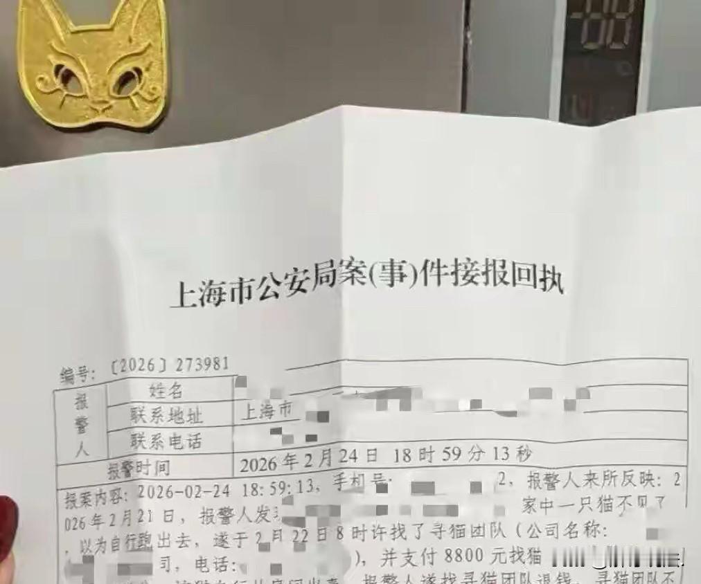 “白嫖吗？”上海，女子将自己的宠物猫带到朋友办公室玩耍，谁知，不一会的功夫猫不见
