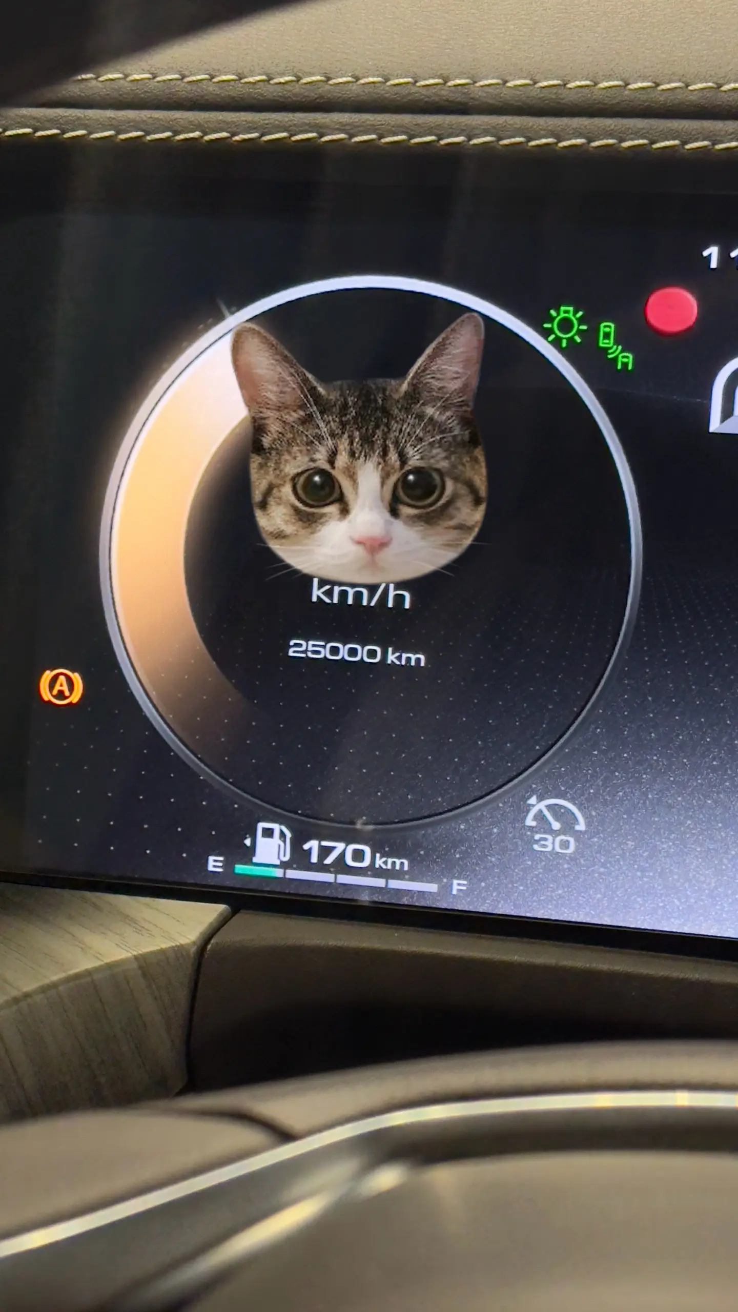 坦克500混动25000公里。有什么想知道，直接问！