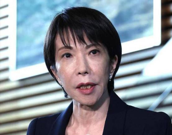 高市早苗政府这半年，一直在等一个“奇迹”，等中方气消了，稀土管制自然就松了。但半