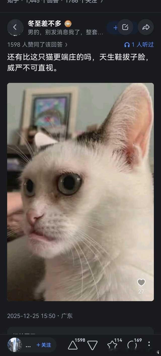 49395【丑猫】某乎上刷到的雷霆丑猫 