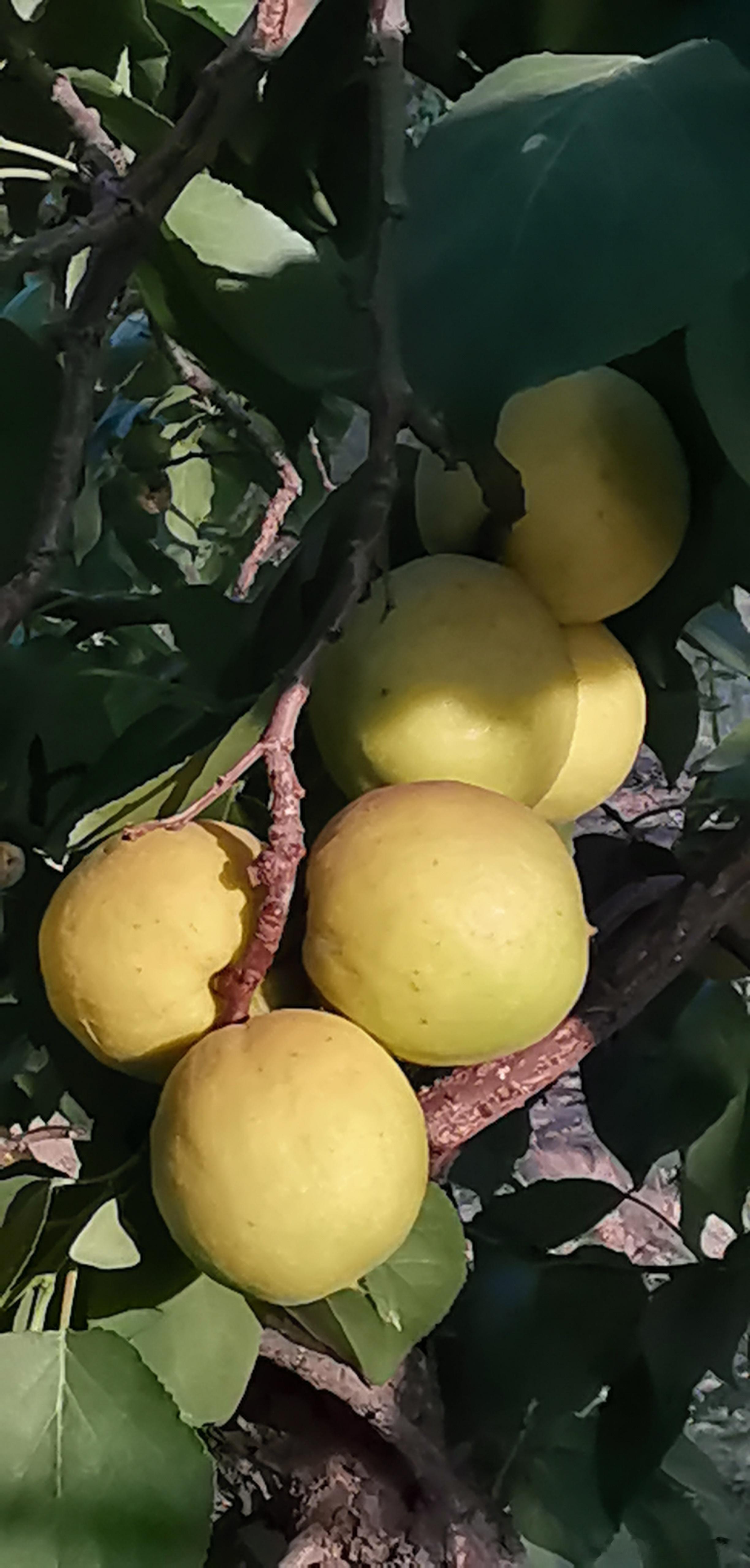 无论哪一个人生阶段，成长和更新自己，才是这个人世间最好的庇护场所，可化解人生中所