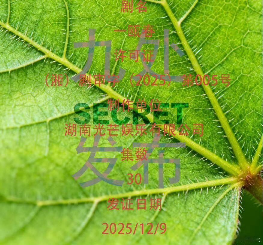 许凯 周也《一瓯春》过审了