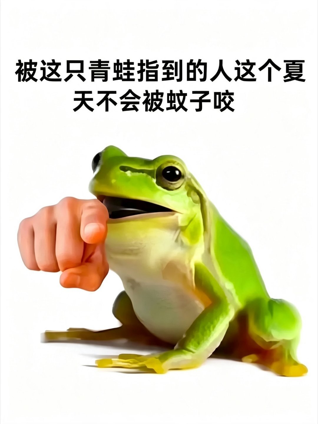 我真的非常需要👇memes