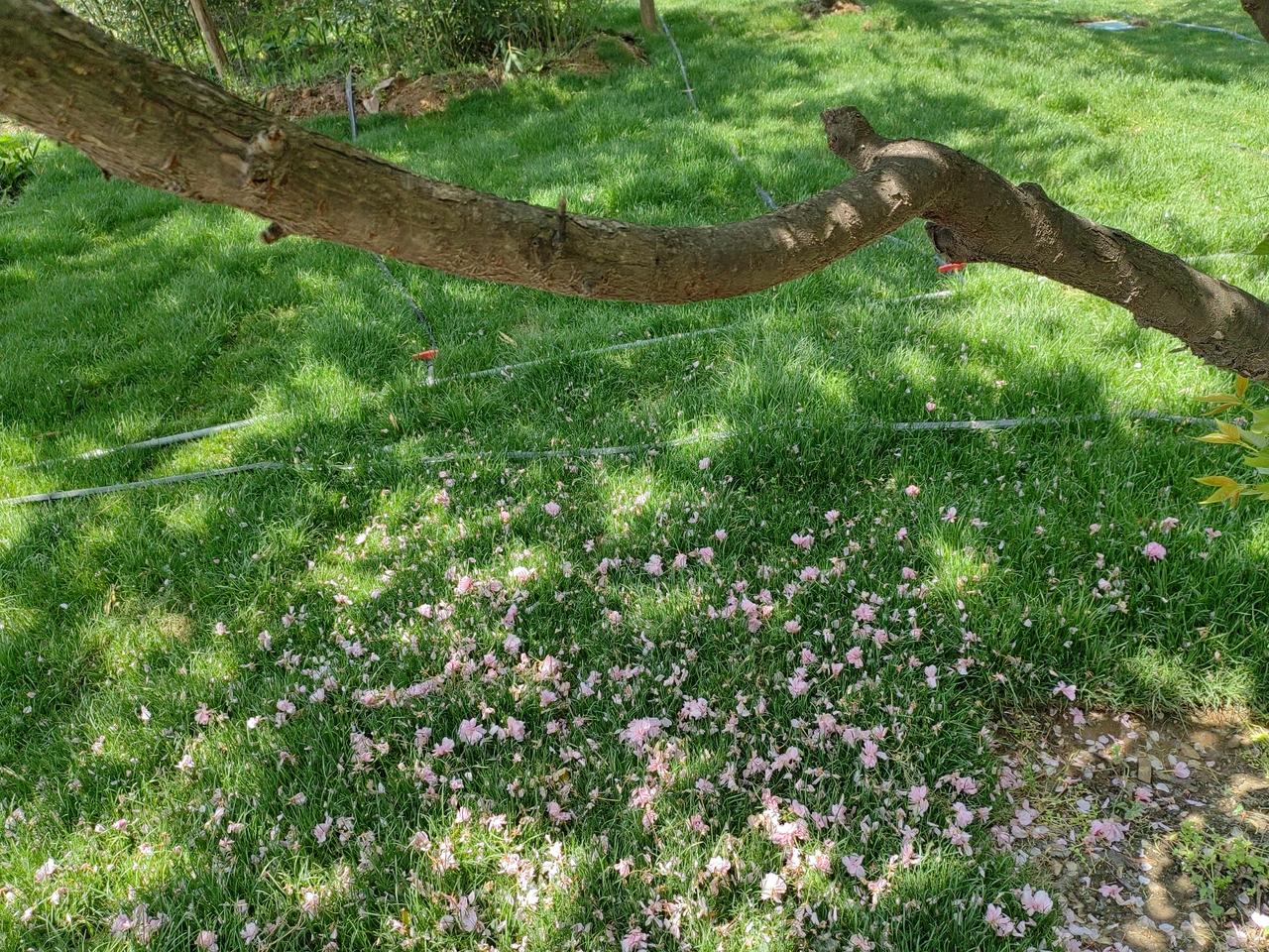 古人的半斤是八两，并非现在的五两。