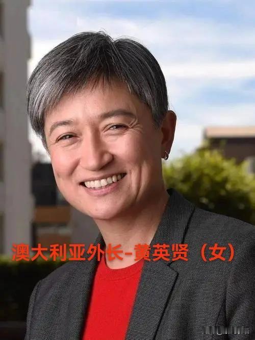 澳大利亚外长黄英贤公开指责中国在南海存在侵略性行为导致南海紧张局势升级，对中国不