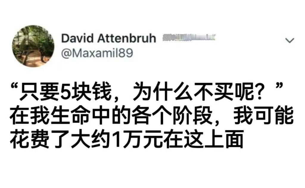 还真是 ​​​