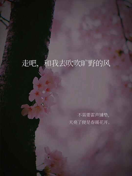 原创 | 走吧，和我去吹吹旷野的风