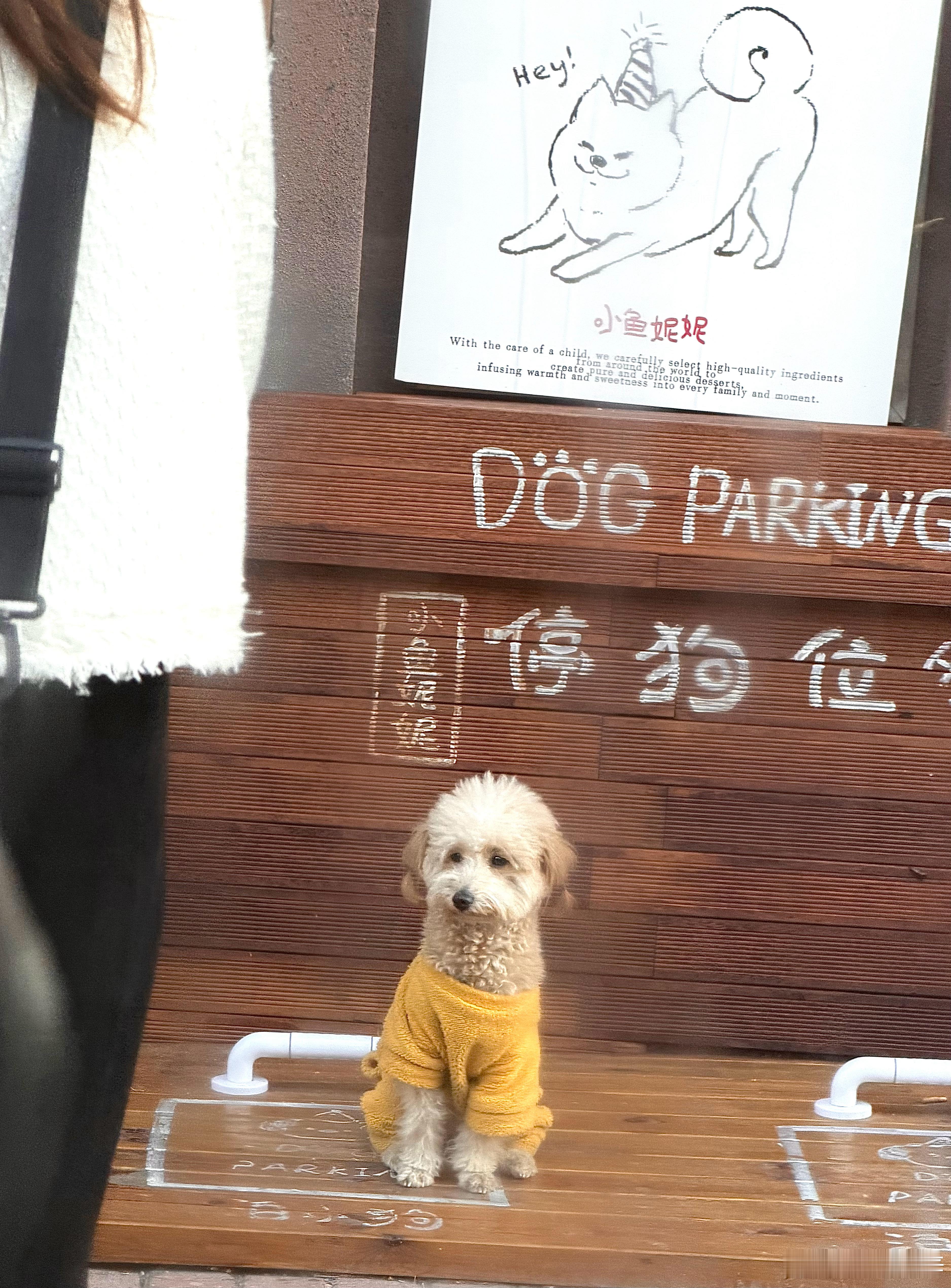 御如反掌 