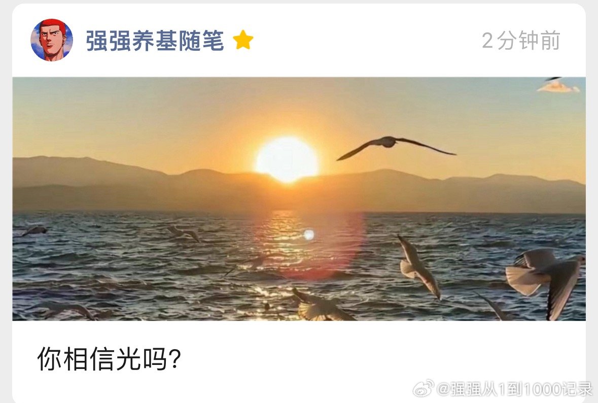 今天文章已发！你相信光吗？