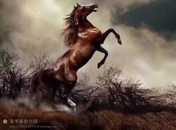 咏马
奋起势吞虹，
嘶鸣震昊穹。
犹怀千里志，
不匮百年雄。
伯乐焉常有，
良驹