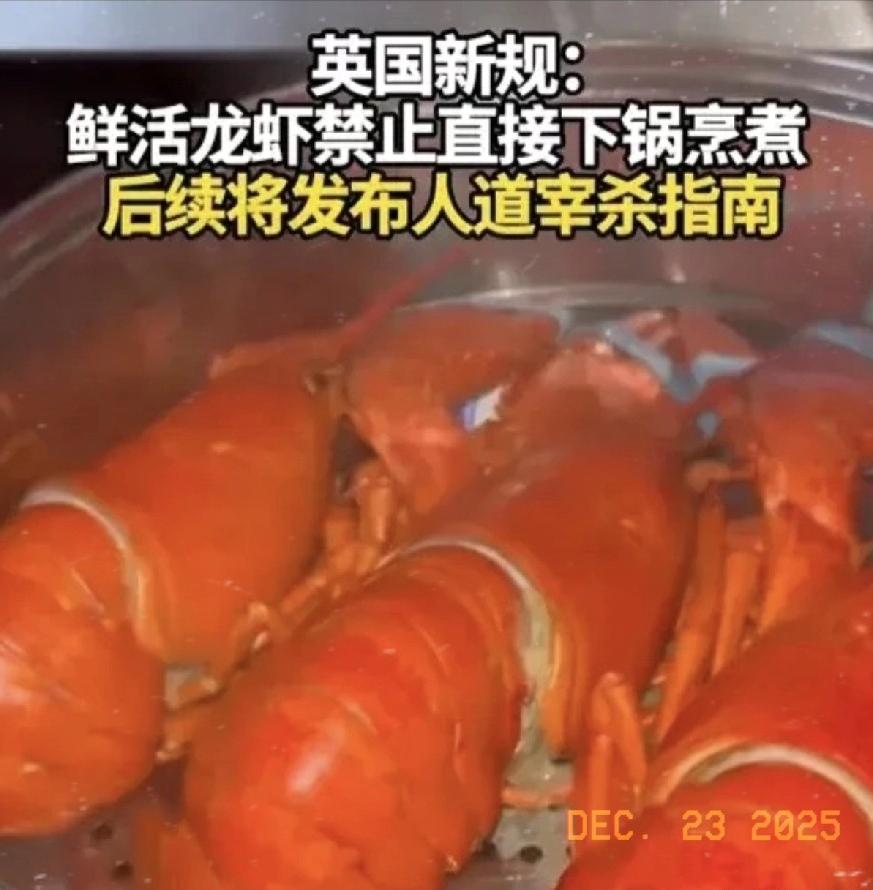 真是脱裤子放屁，多此一举！
最近英国出的一项新规，看了让人忍不住想吐槽一句“脱裤