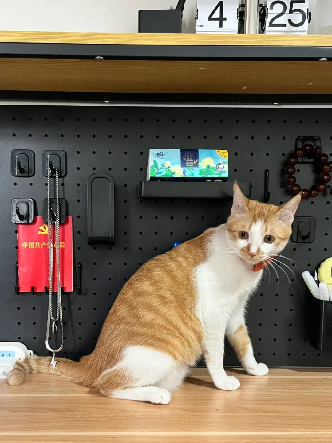 怀民爸来交作业啦！