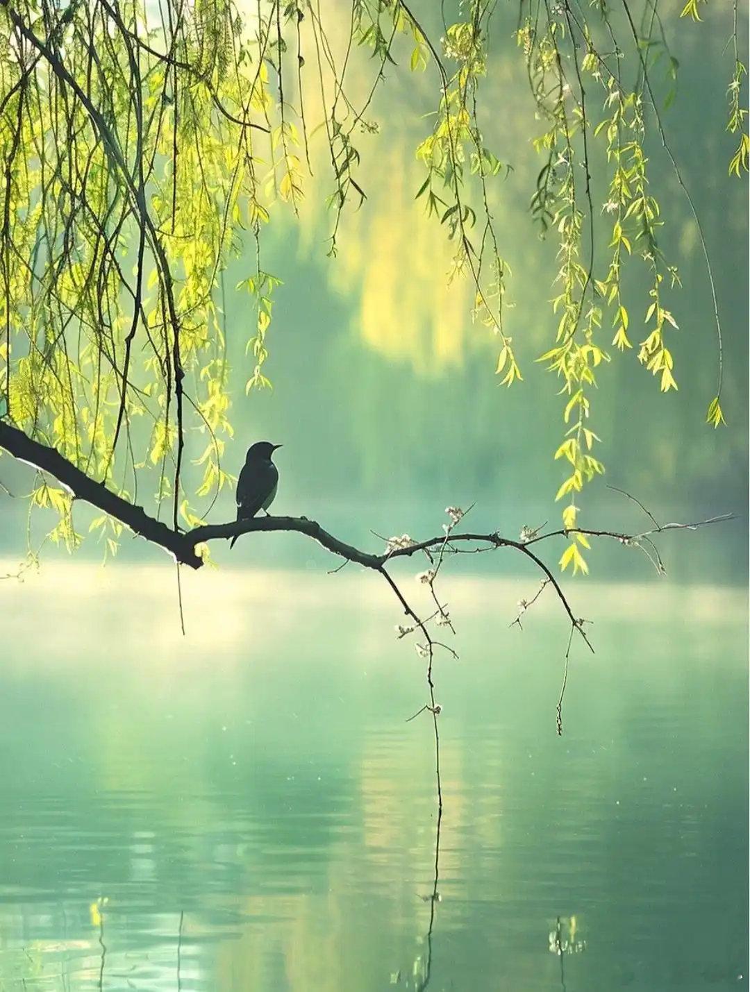 暑气未消散，早晚风已凉。公园转几圈，享受好时光。 