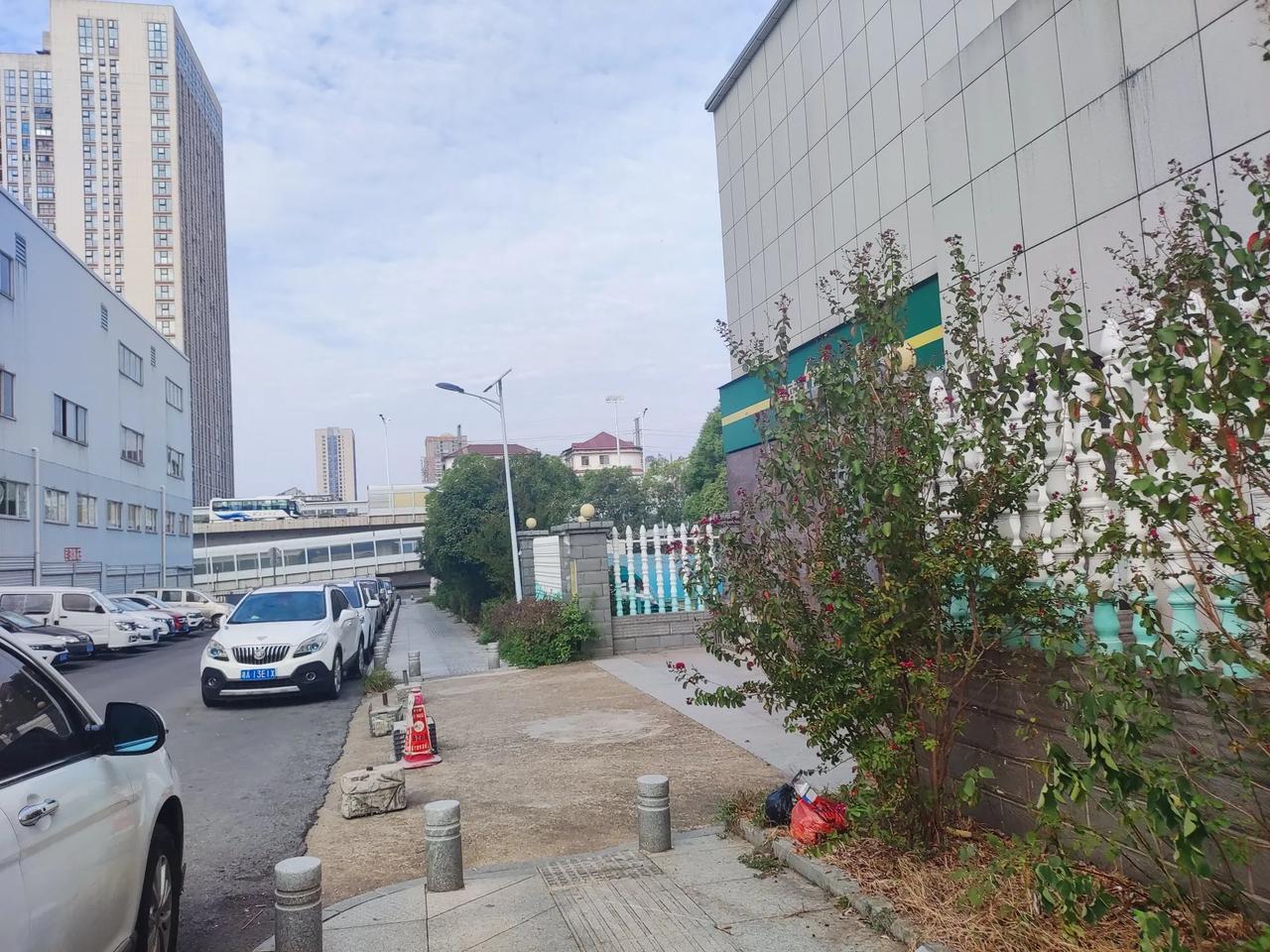 #中视频没收益还要不要继续发# 想发就发呗，相当于记录美好生活了。